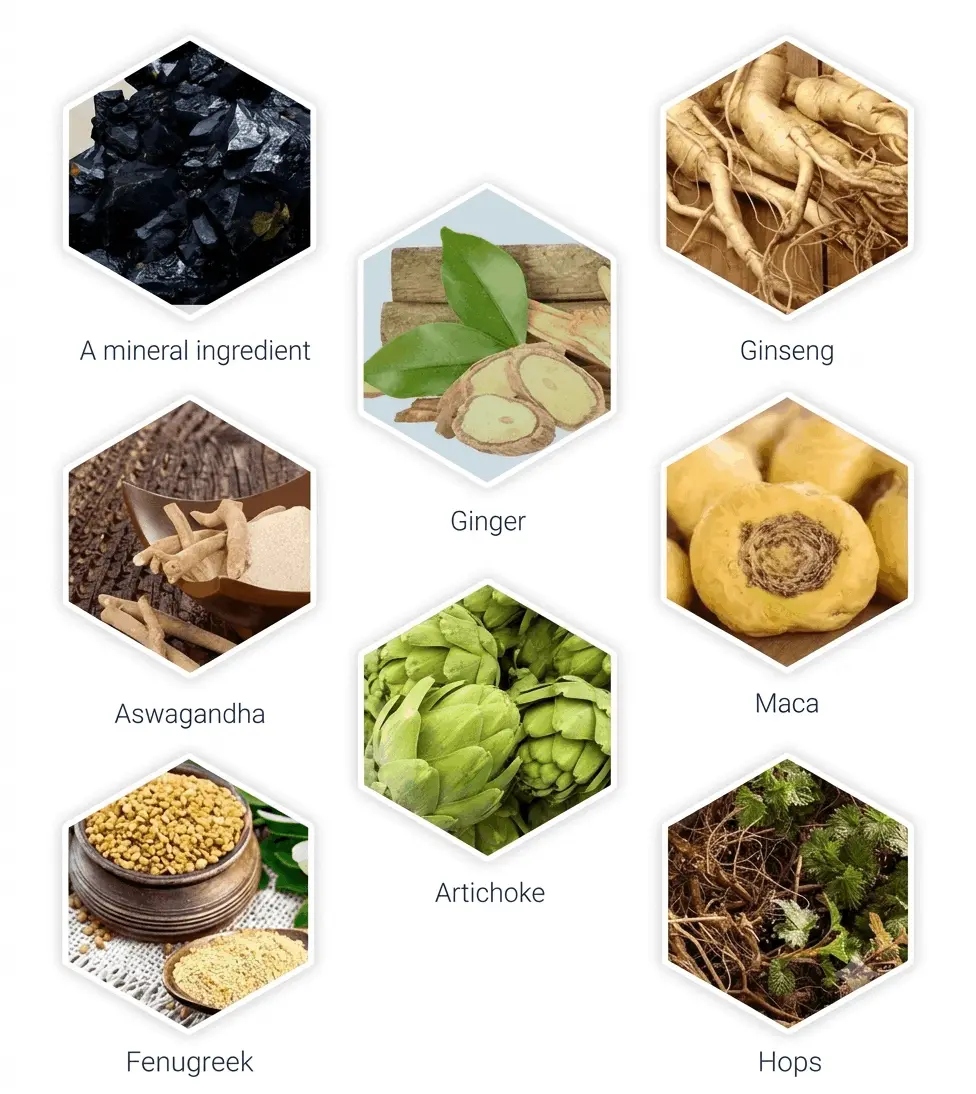 Prostavive Ingredients