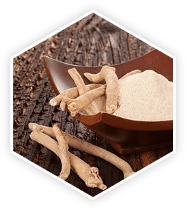 Ashwagandha 13,14