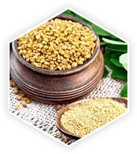 Fenugreek 18,19