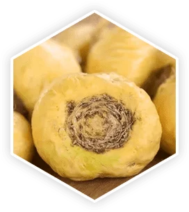 Maca Root 22,23